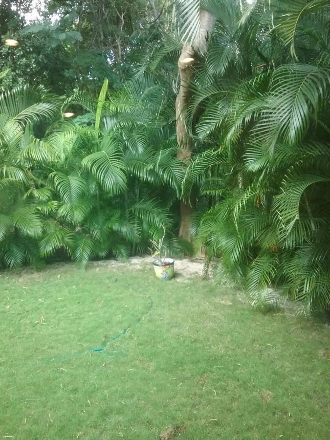Bed and Breakfast Casa Rioja Playacar Playa del Carmen Exterior foto